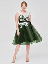 Organza with Ivory Lace Appliqued Short Dress Olive Green
