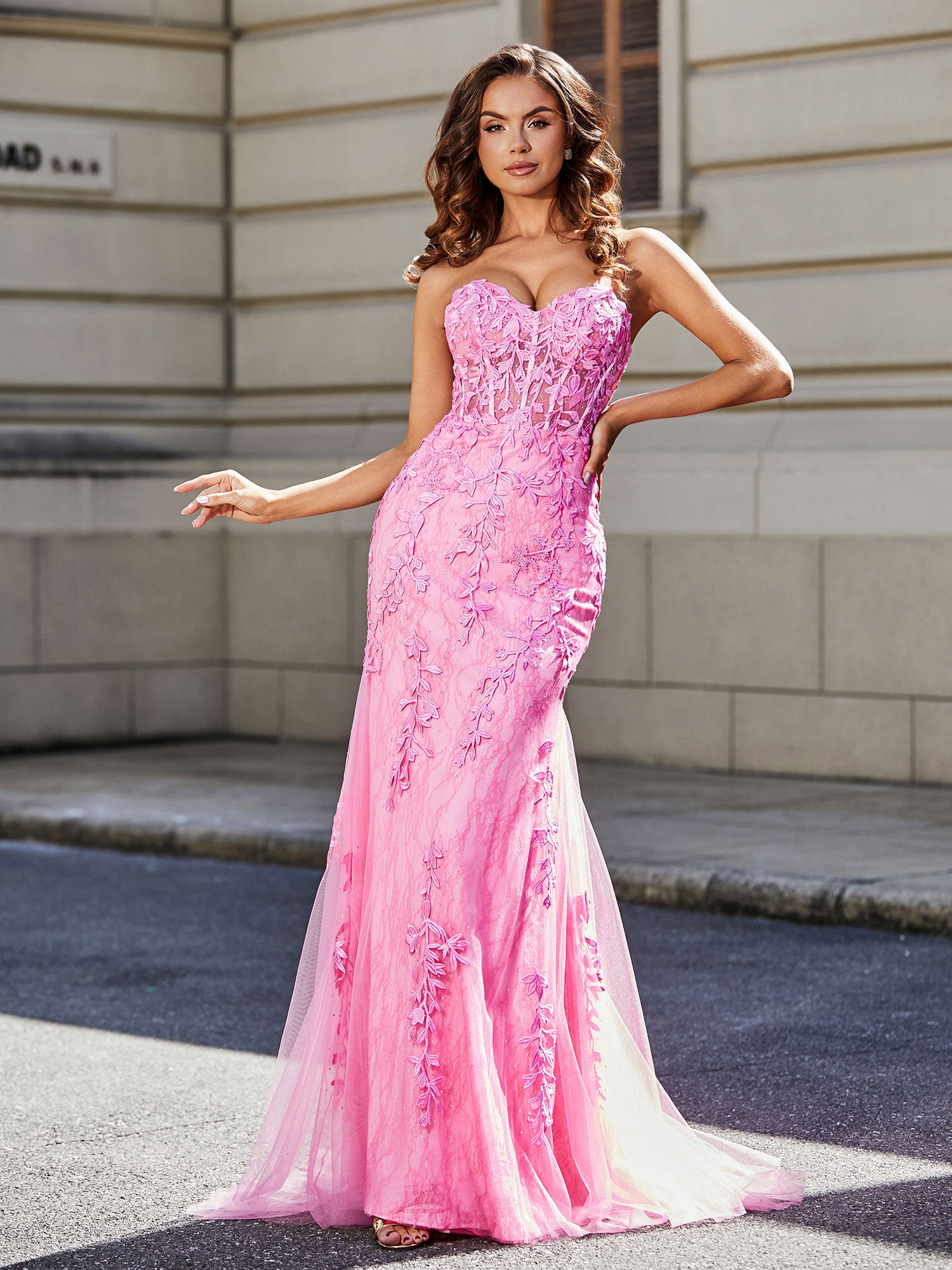 Gorgeous Mermaid Long Sleeves Scoop Lace Tulle Prom Dresses