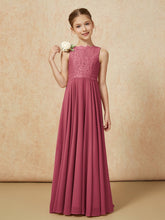 Cinnamon Rose
