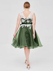 Organza with Ivory Lace Appliqued Short Dress Olive Green
