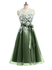 Organza with Ivory Lace Appliqued Short Dress Olive Green