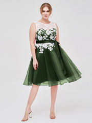 Organza with Ivory Lace Appliqued Short Dress Olive Green