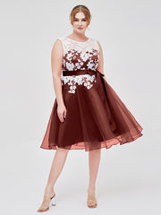 Organza with Ivory Lace Appliqued Short Dress Terracotta