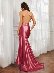 V-neck  Appliqued Spaghetti Straps Mermaid Prom Dress Cinnamon Rose Plus Size