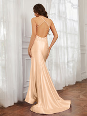 V-neck  Appliqued Spaghetti Straps Mermaid Prom Dress Peach Plus Size