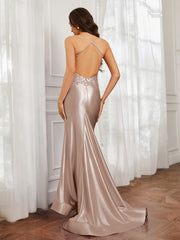 V-neck  Appliqued Spaghetti Straps Mermaid Prom Dress Taupe Plus Size