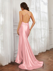 V-neck  Appliqued Spaghetti Straps Mermaid Prom Dress Flamingo