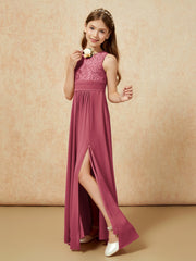 Cinnamon Rose