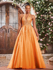 Deep V-neck Appliqued Corset Tulle Lace Maxi Prom Dresses Orange