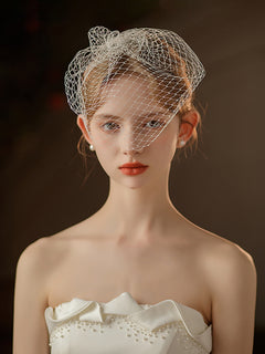 Minimalistic Tulle Bridal Veil