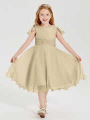 Chiffon Tea Length Junior Bridesmaid Dresses Champagne