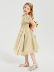 Chiffon Tea Length Junior Bridesmaid Dresses Champagne