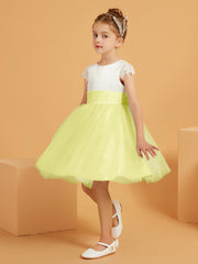 Daffodil