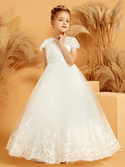 Embroidered Applique Illusion Neckline Flower Girl Dress