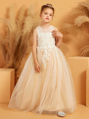 Cute Illusion Neckline Lace Tulle Ball Gown