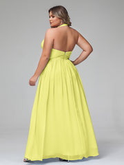 Daffodil