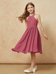 Cinnamon Rose