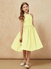 Daffodil