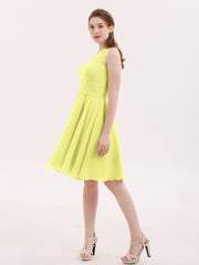 Daffodil