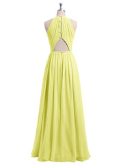 Daffodil