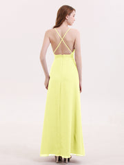 Daffodil