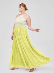 Daffodil
