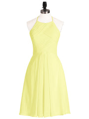 Daffodil