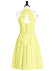 Daffodil